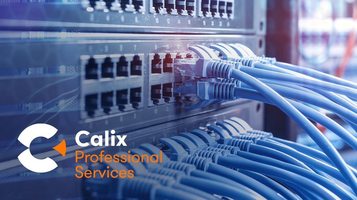 Calix Professional Services logo