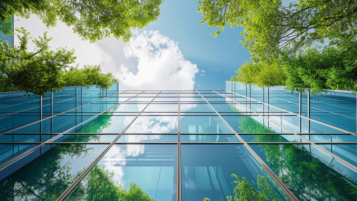 Modern glass office surrounded by green trees
