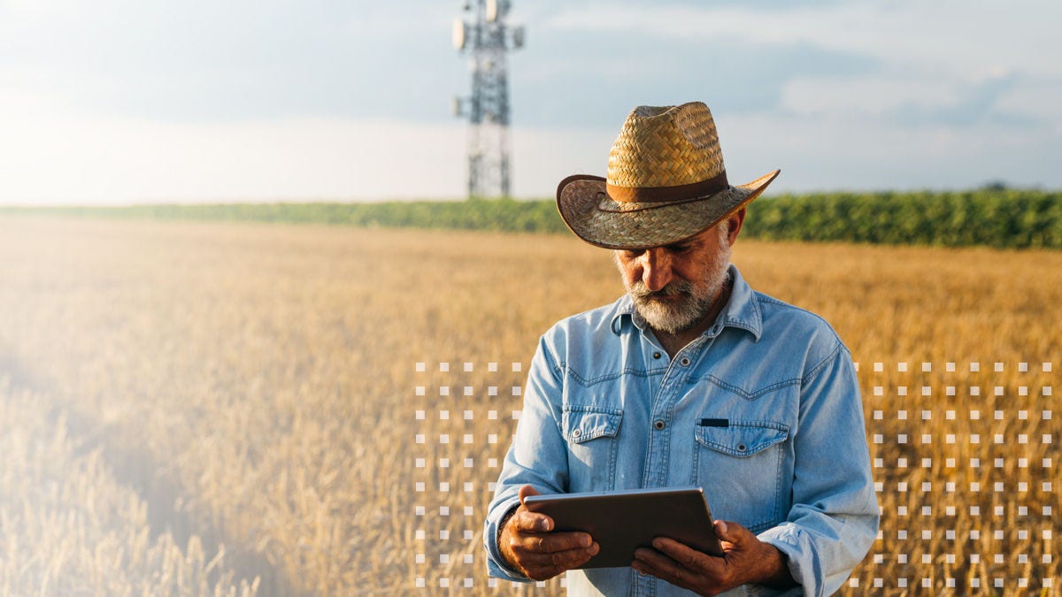 A farmer using a tablet in a rural field of crops