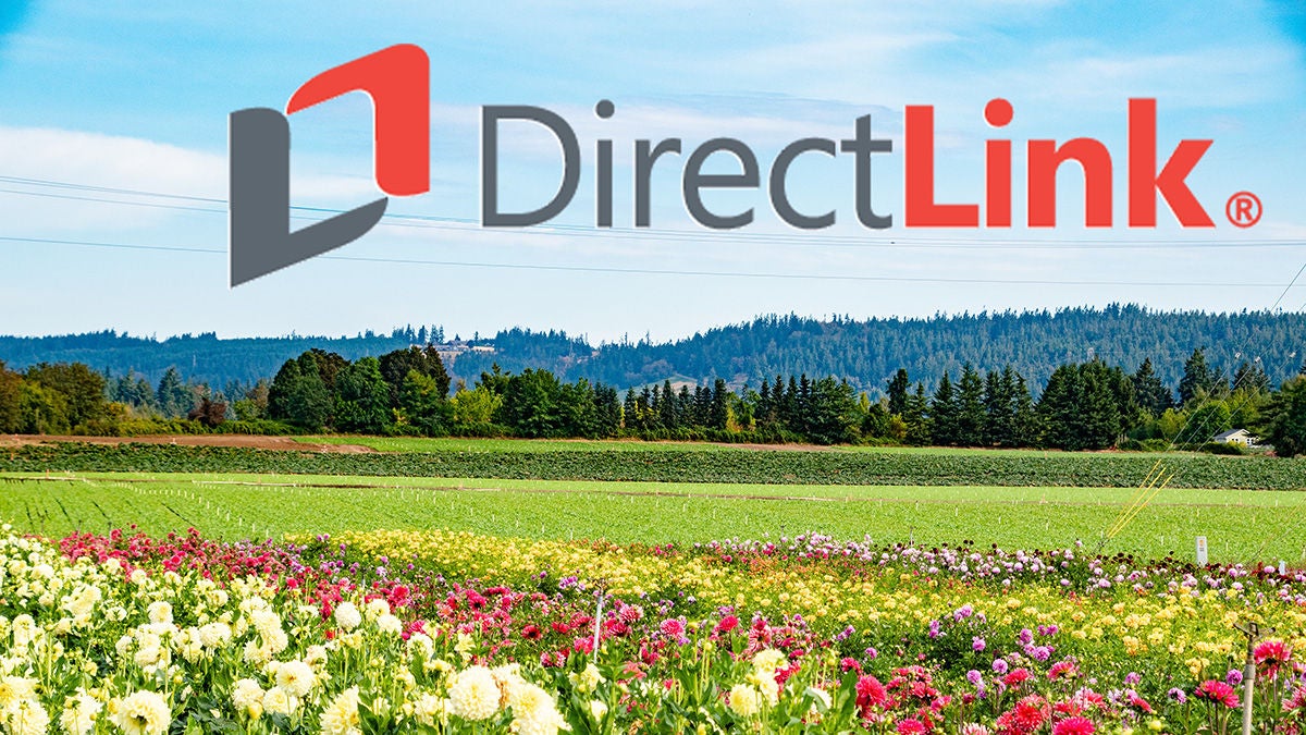 DirectLink logo over field