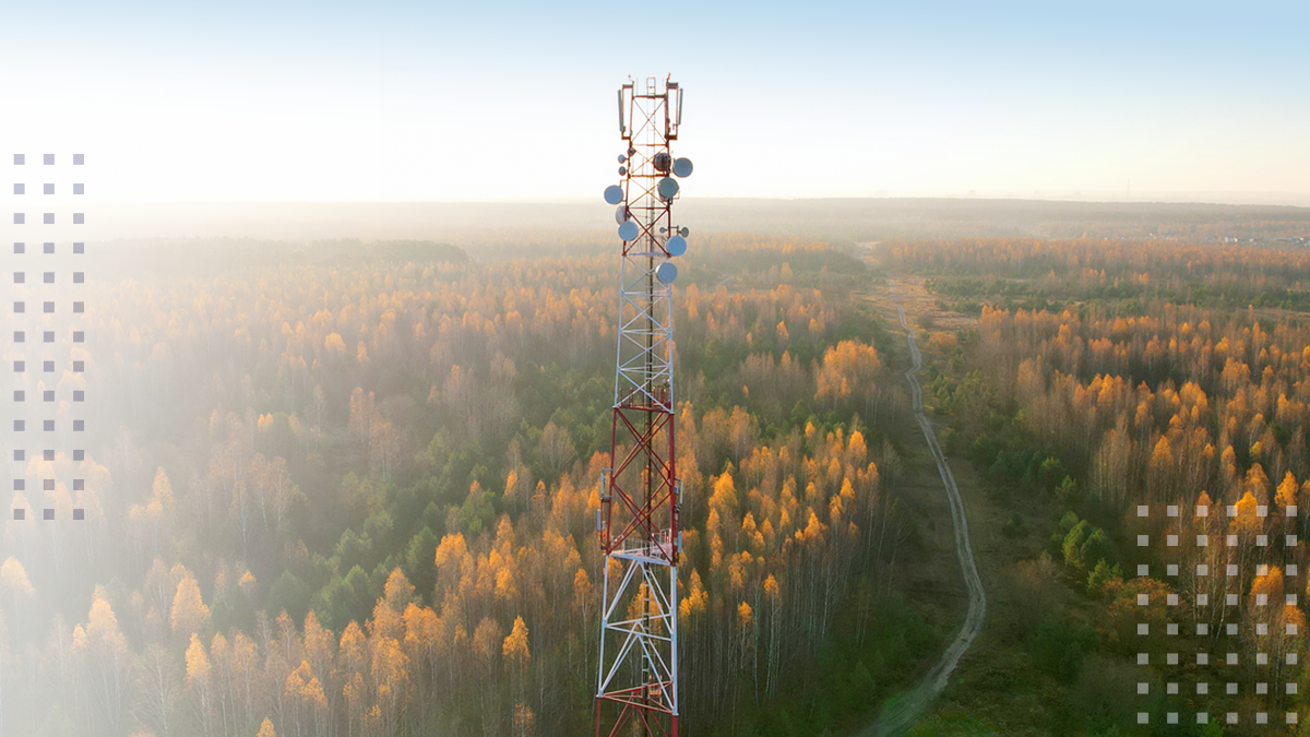 A WISP cell tower in a rural area with a single road surrounded by many trees